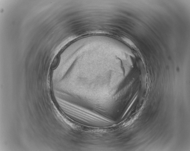 X0000053151141200508012303