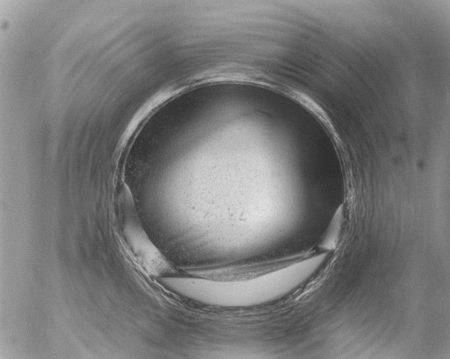 X0000053151146200508012303