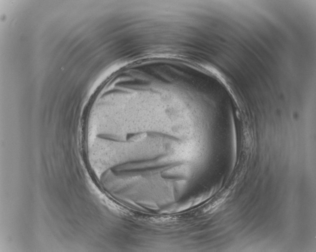 X0000053151147200508012303