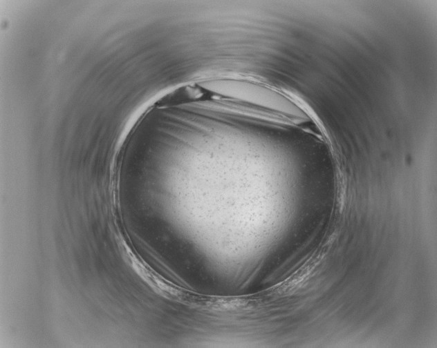 X0000053151148200508012303