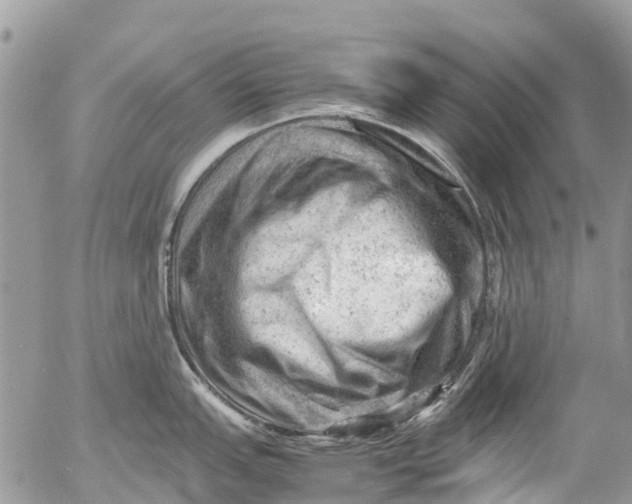 X0000053151151200508012303