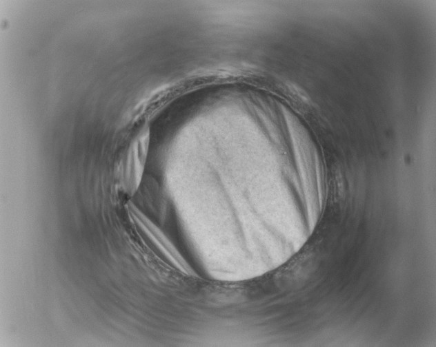 X0000053151158200508012302