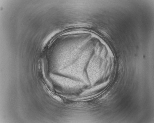 X0000053151163200508012302