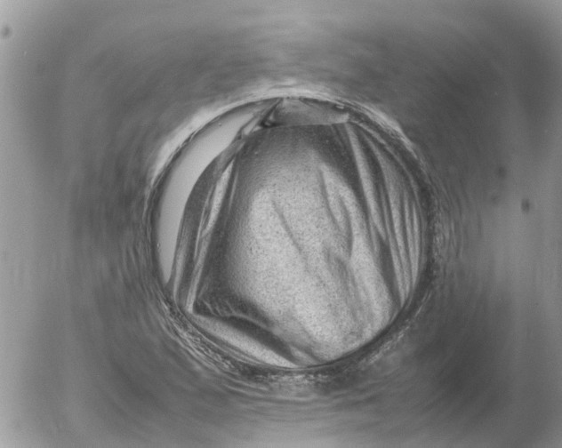 X0000053151167200508012302