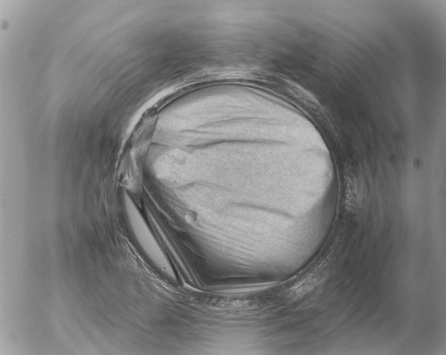 X0000053151174200508012302