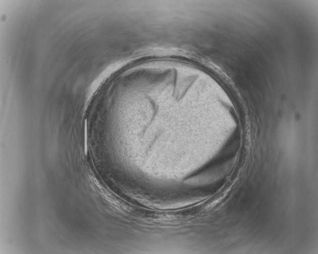 X0000053151175200508012302
