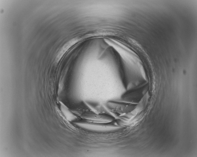 X0000053151177200508012302