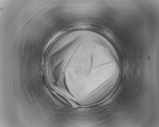 X0000053151178200508012302