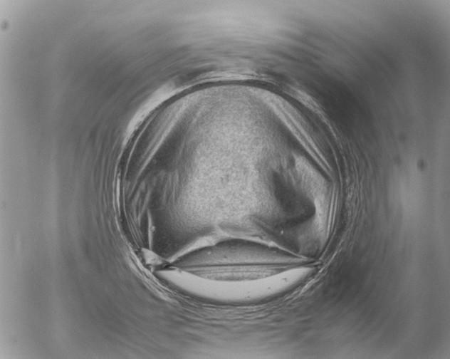 X0000053151179200508012302