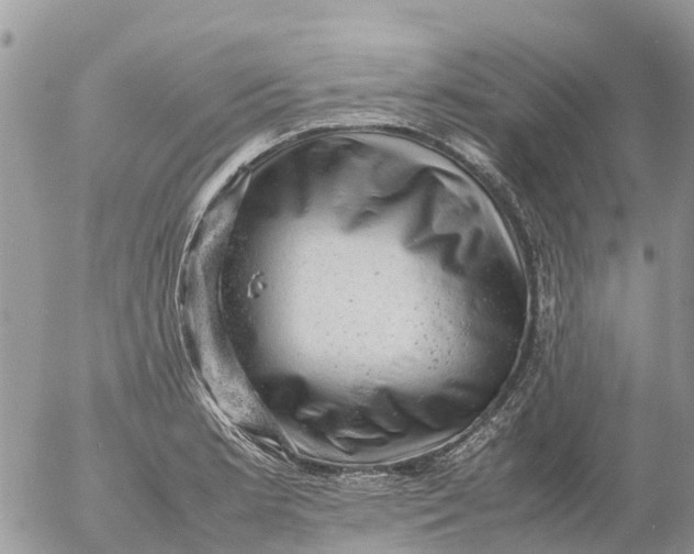 X0000053151181200508012302