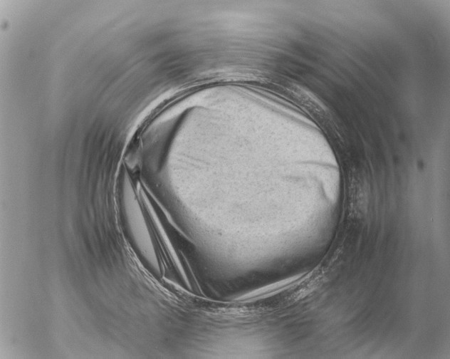 X0000053151182200508012302