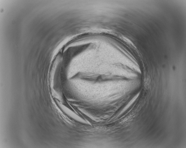 X0000053151183200508012302