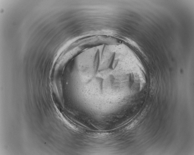X0000053151184200508012302