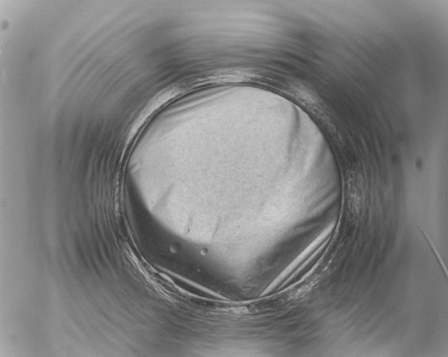X0000053151186200508012302