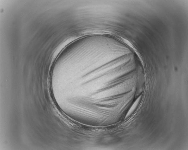 X0000053151187200508012302