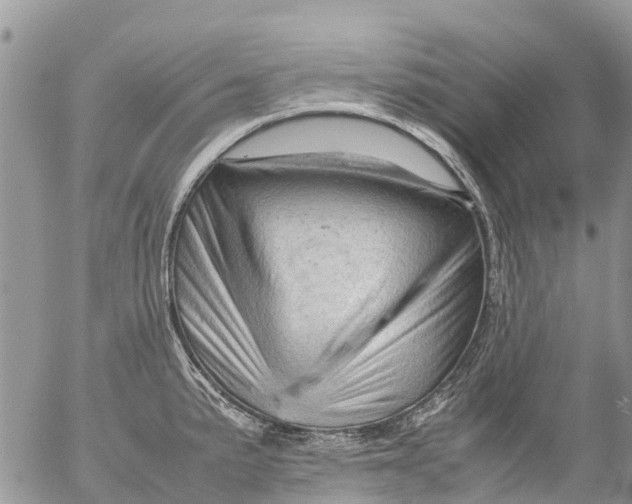 X0000053151191200508012302