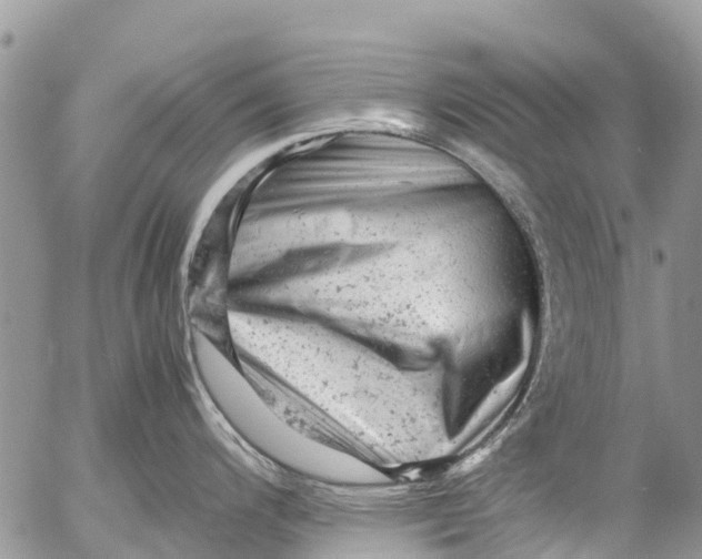 X0000053151200200508012301