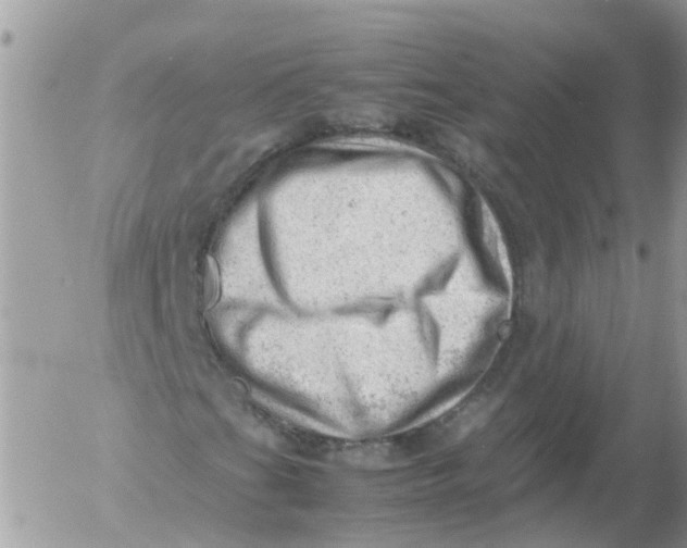 X0000053151201200508012301