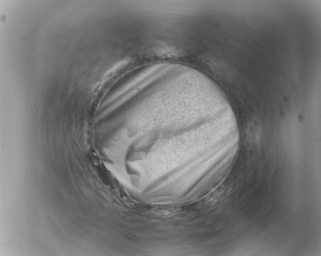 X0000053151205200508012301