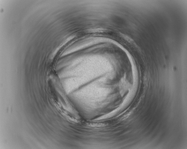 X0000053151209200508012301