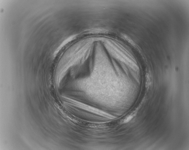 X0000053151213200508012301