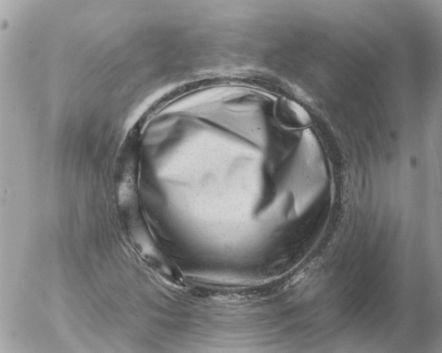 X0000053151214200508012301