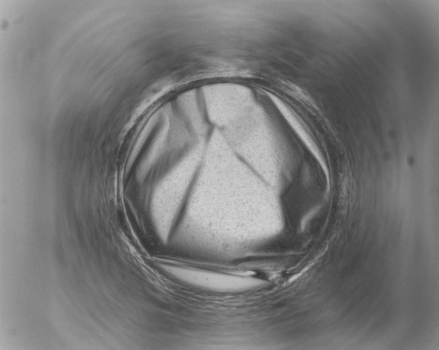 X0000053151220200508012301