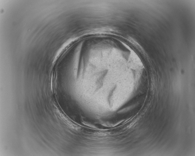 X0000053151224200508012301
