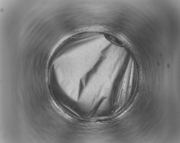 X0000053151232200508012301