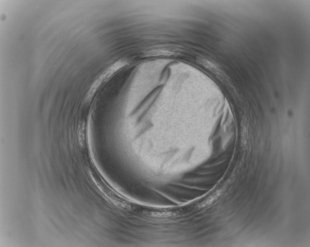 X0000053151233200508012301