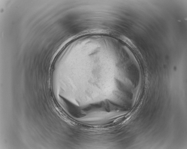 X0000053151236200508012301