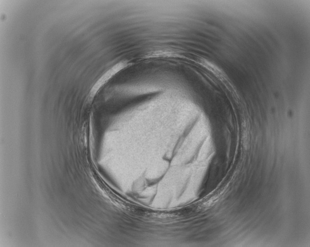 X0000053151241200508012301