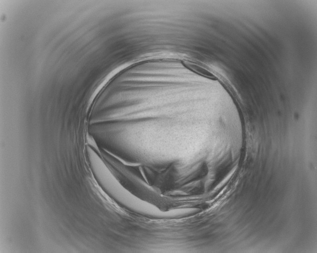 X0000053151244200508012301