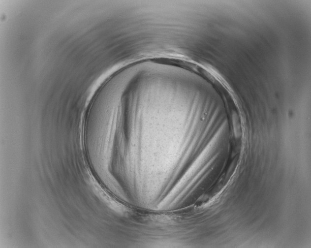 X0000053151246200508012301