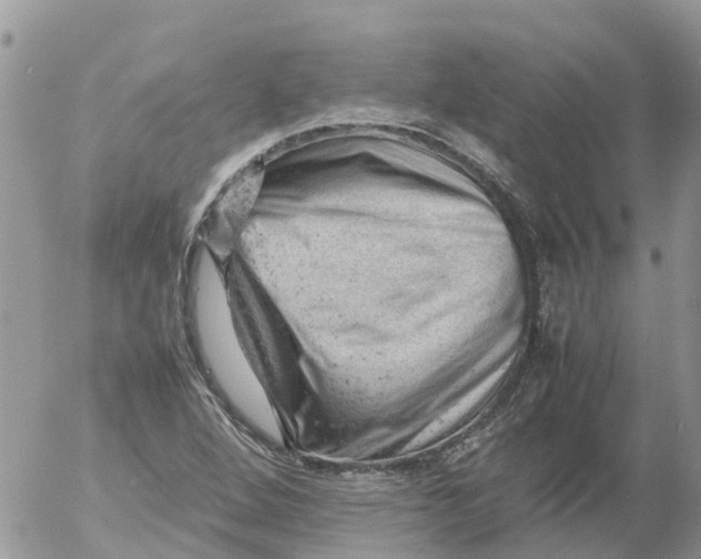 X0000053151264200508012300