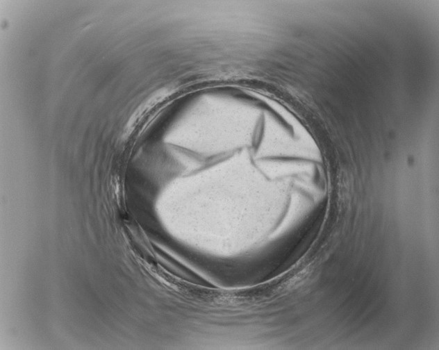 X0000053151265200508012300