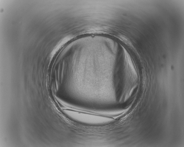 X0000053151277200508012300