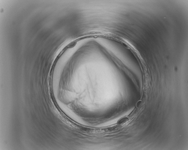 X0000053151291200508012300