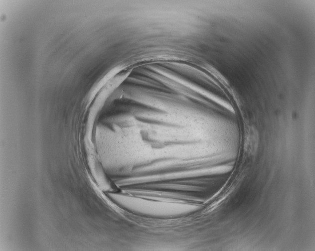 X0000053151293200508012300
