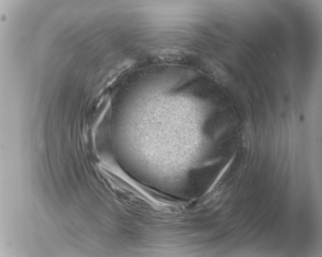 X0000053151298200508012259