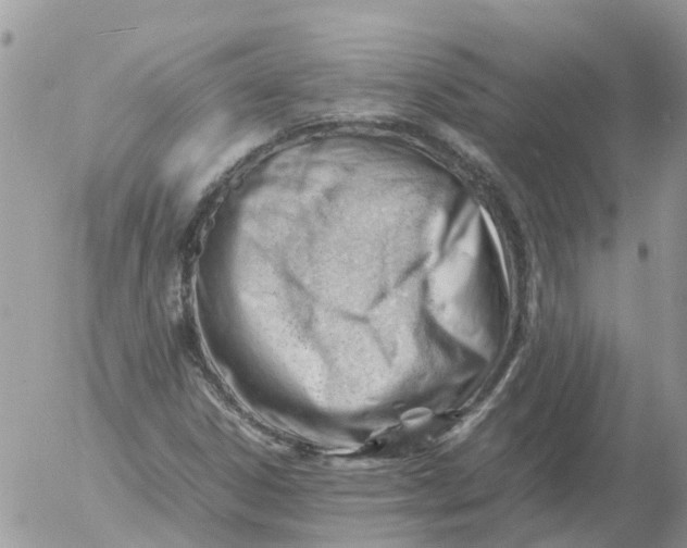 X0000053151306200508012259