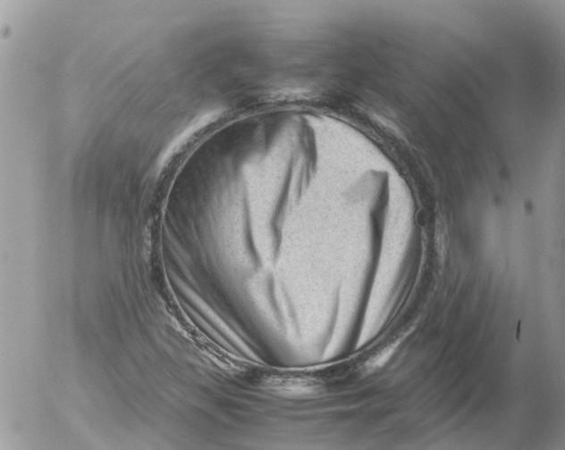 X0000053151309200508012259