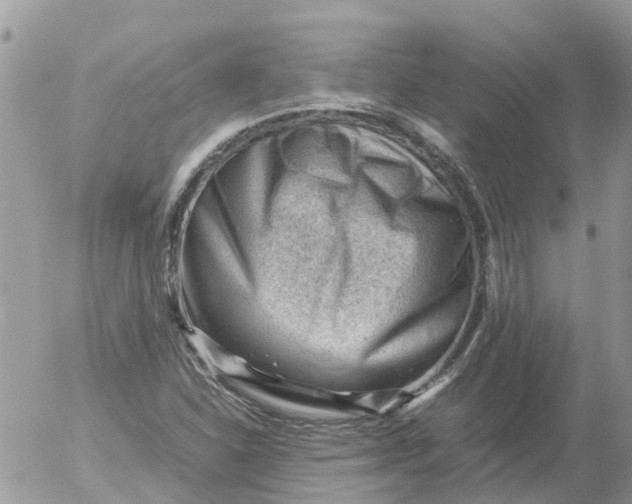 X0000053151310200508012259