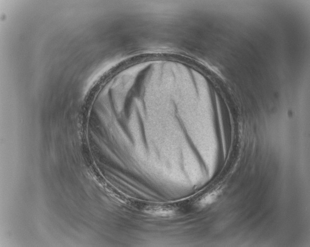 X0000053151311200508012259