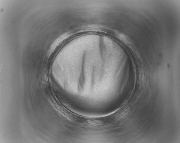 X0000053151312200508012259