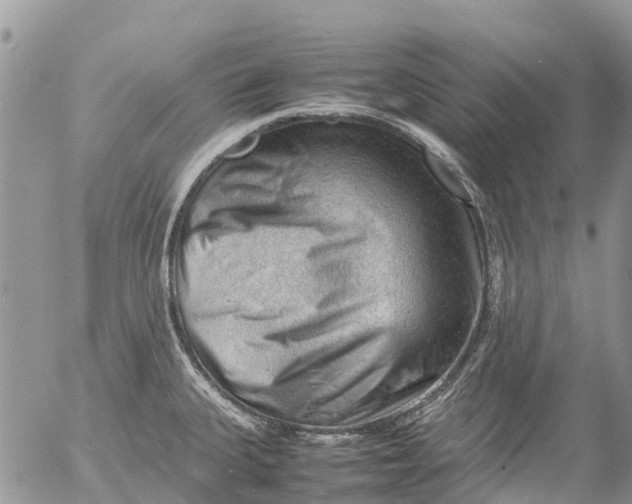 X0000053151335200508012300