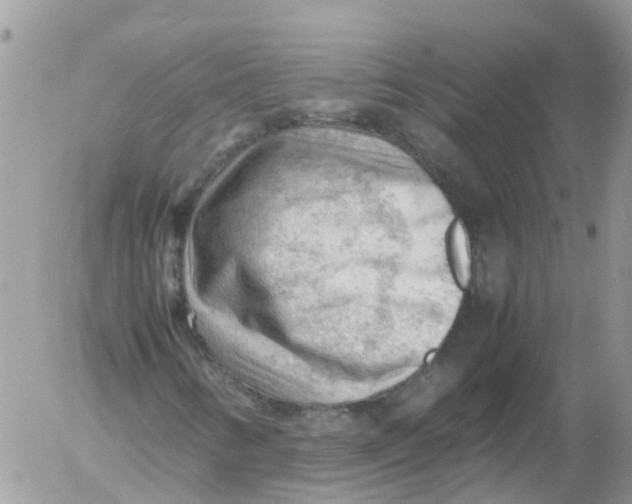 X0000053151346200508012259