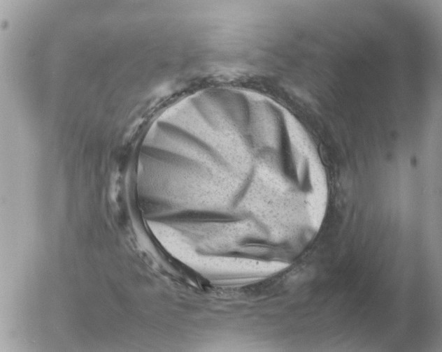 X0000053151349200508012259