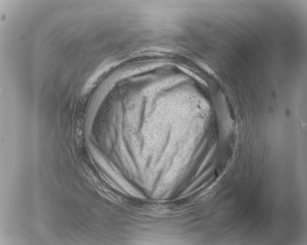 X0000053151355200508012259