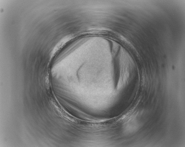 X0000053151362200508012259